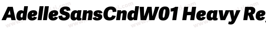 AdelleSansCndW01 Heavy Regular字体转换